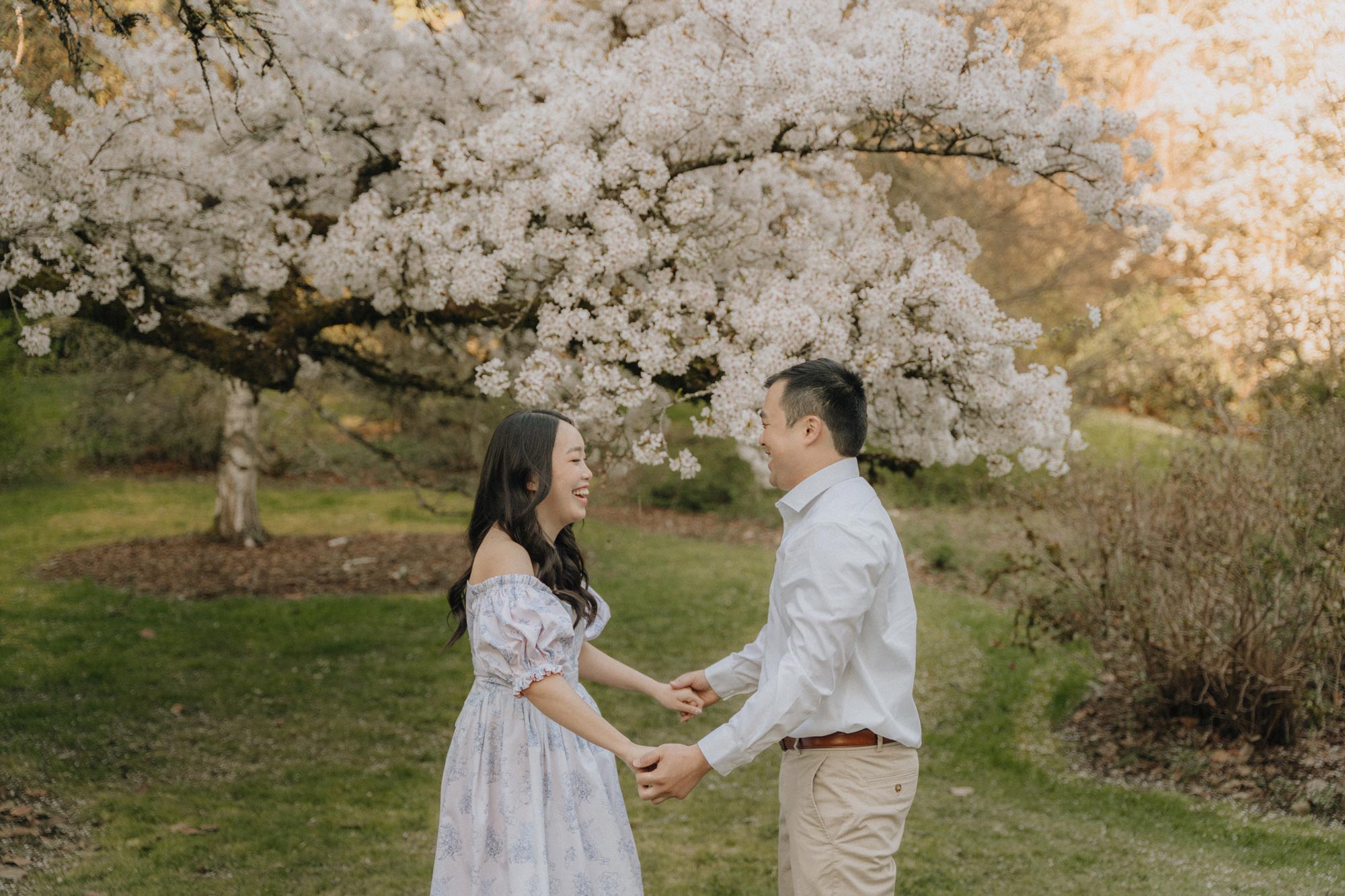 Couple holding hands and laughing at each other while smiling underneath a cherry blossom tree.